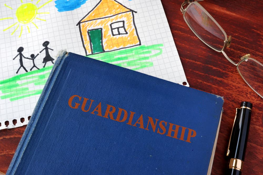 Book with title Guardianships and children