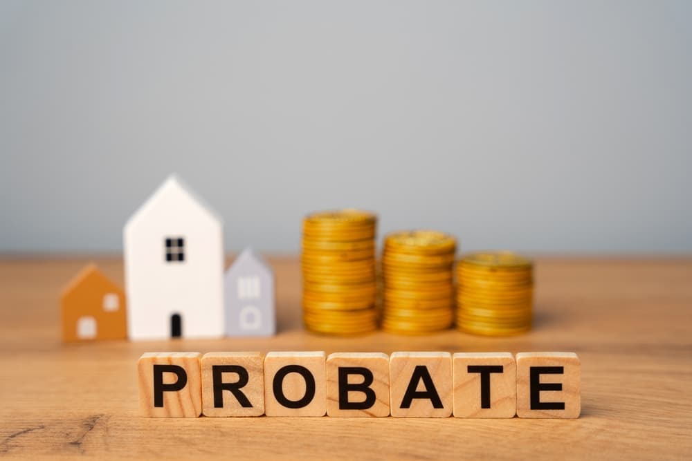 Wooden blocks Probate and miniature houses.